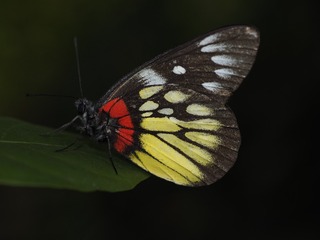 _6073097