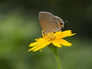_6073103
