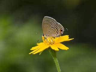 _6073104
