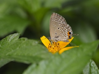 _6073105