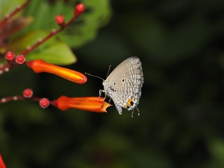 _6073122