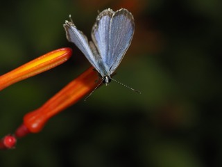 _6073124