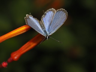 _6073125