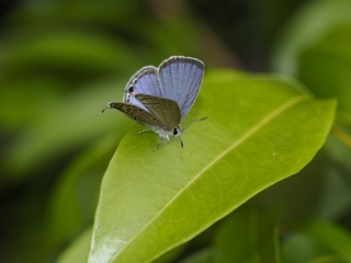 _6073132