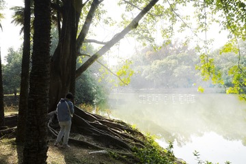 植物园