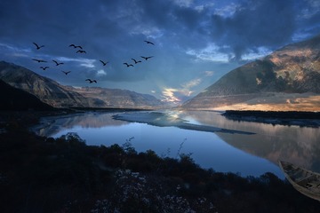 鸟惊喧