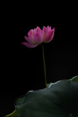 暗光