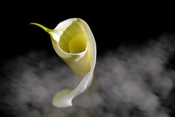 破茧而出