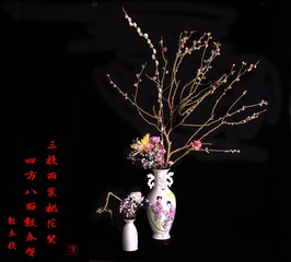 报春枝