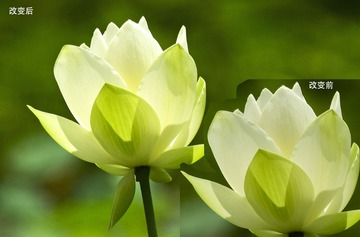 对比