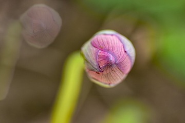 让砲弹飞