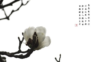 秋梦