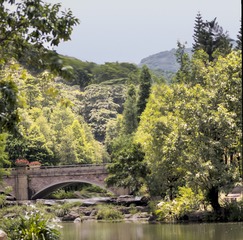 夏日溪涧