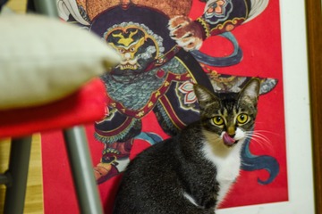 真好味