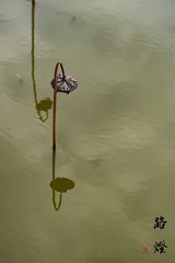 路灯