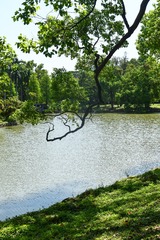 探水
