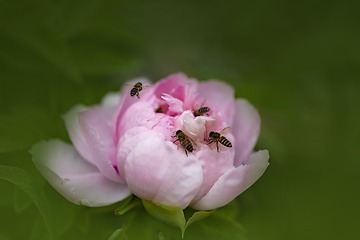 劳动节