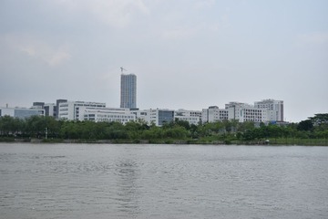 DSC_01 (2)