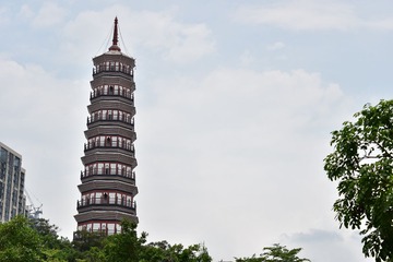 DSC_1659 (26)