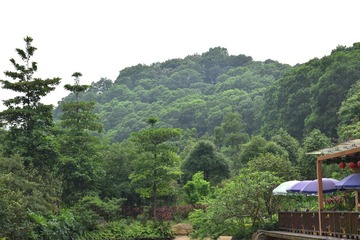 DSCA_0001 (38)