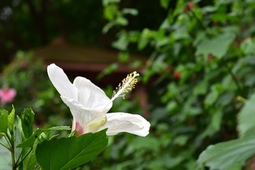 DSCA_0001 (40)