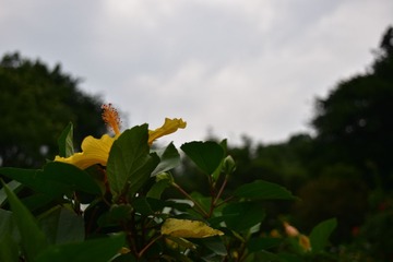 DSCA_0001 (45)