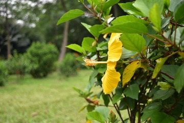 DSCA_0001 (46)