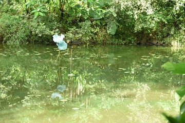 DS11 (3)
