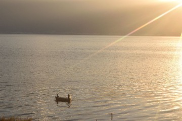 DSC_0586_00020