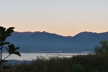 DSC_0733_00156
