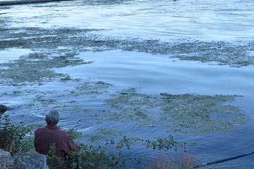 DSC_0766_00189