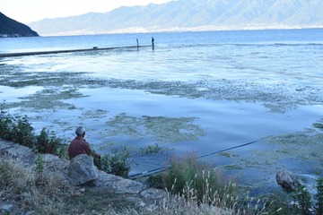 DSC_0768_00191