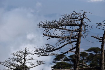DSC_0353_00196