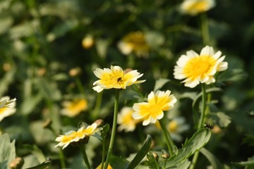 DSC_0665_00011