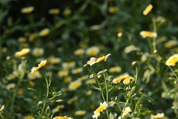 DSC_0681_00029