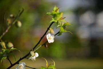 F4.5