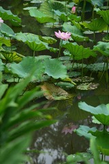 DSC_0403_00077
