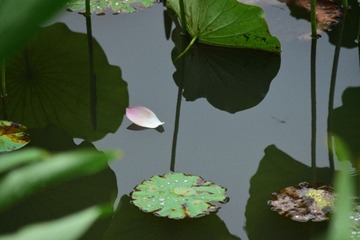 DSC_0385_00059