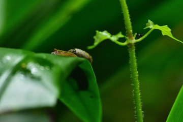 DSC618 (75)