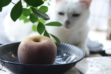 疲惫的早晨