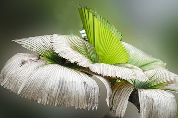 吐故纳新