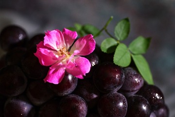 花.. 葡萄