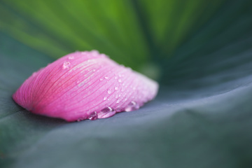 一抹红唇