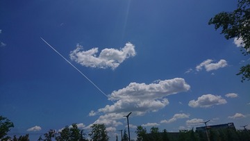 1636344