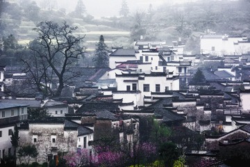 陌上花开 4M没电线