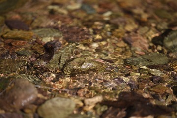 山间清泉