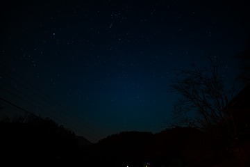 981852