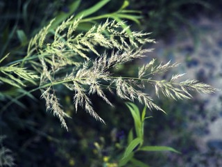 P7020066