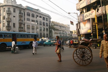 india (7)