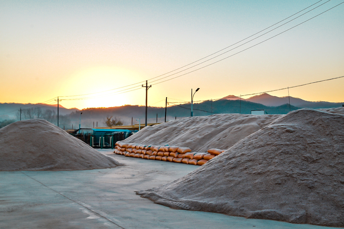 丰收的粮堆 - 定格美老李 - 图虫